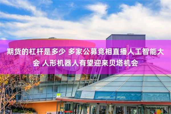 期货的杠杆是多少 多家公募竞相直播人工智能大会 人形机器人有望迎来贝塔机会