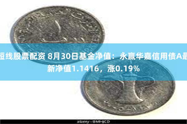 短线股票配资 8月30日基金净值：永赢华嘉信用债A最新净值1.1416，涨0.19%