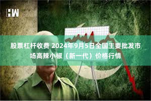 股票杠杆收费 2024年9月5日全国主要批发市场高辣小椒（新一代）价格行情