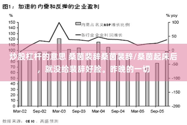 炒股杠杆的意思 桑茵裴辞桑茵裴辞/桑茵起床后，就没给裴辞好脸。昨晚的一切