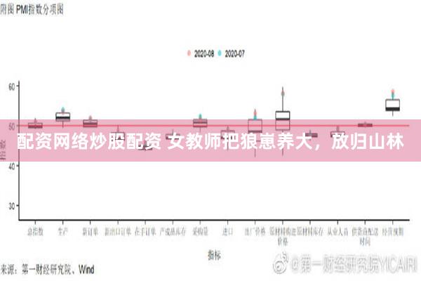 配资网络炒股配资 女教师把狼崽养大，放归山林