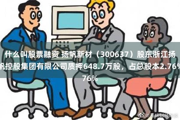 什么叫股票融资 扬帆新材（300637）股东浙江扬帆控股集团有限公司质押648.7万股，占总股本2.76%