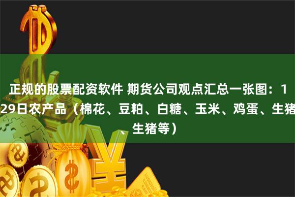 正规的股票配资软件 期货公司观点汇总一张图：10月29日农产品（棉花、豆粕、白糖、玉米、鸡蛋、生猪等）