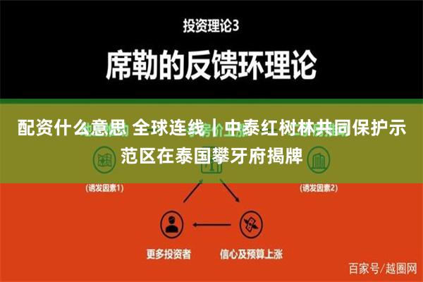 配资什么意思 全球连线｜中泰红树林共同保护示范区在泰国攀牙府揭牌